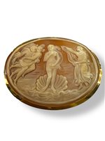 Spilla Mandile 1922 Donna Cammei antichi in Oro Conchiglia 1MSPC2 - 1MSPC2